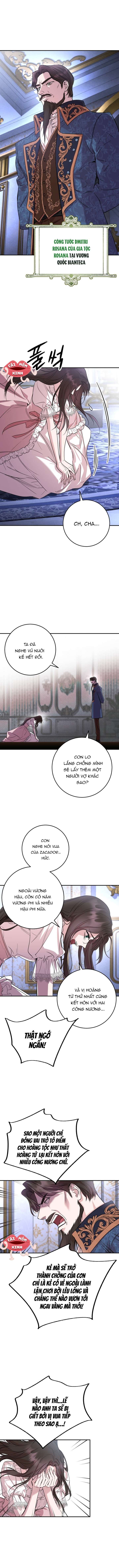 Cuộc Hôn Nhân Bị Bắt Cóc Xuyên Thời Gian Của Hoàng Hậu Chap 1 - Trang 3