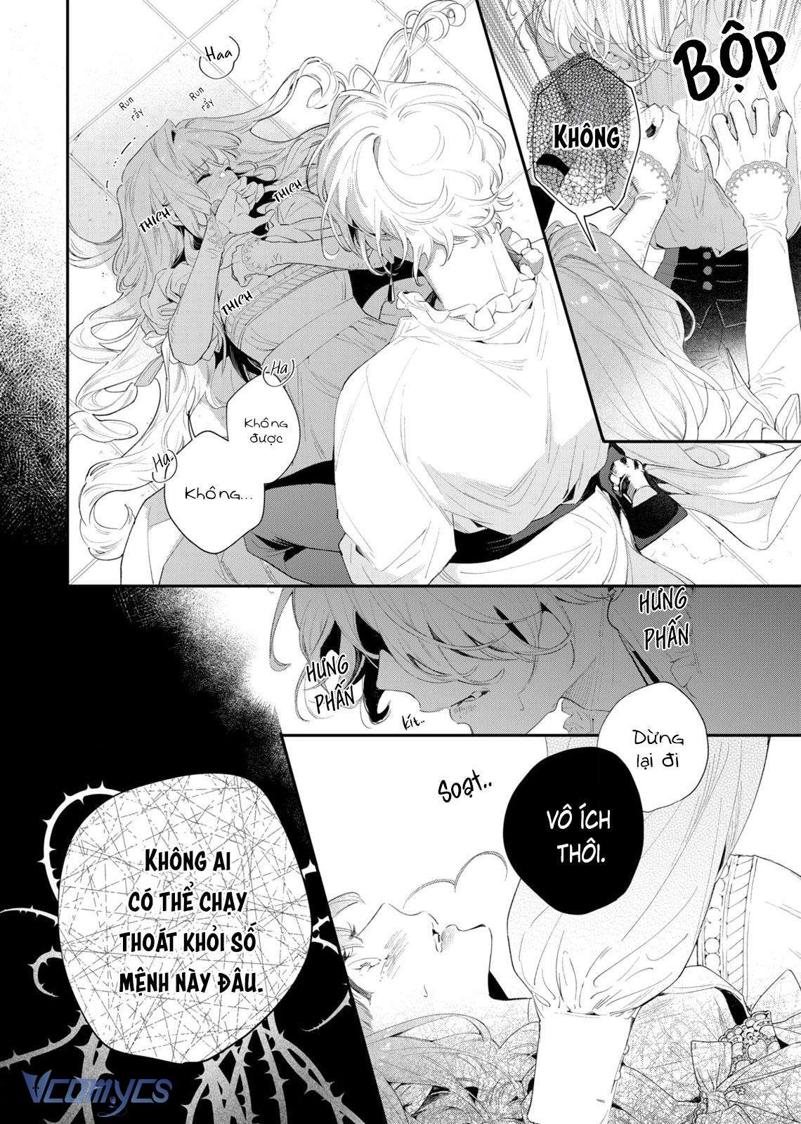 Hoa Hồng Ẩn Giấu Sao Băng Chapter 2 - Trang 4