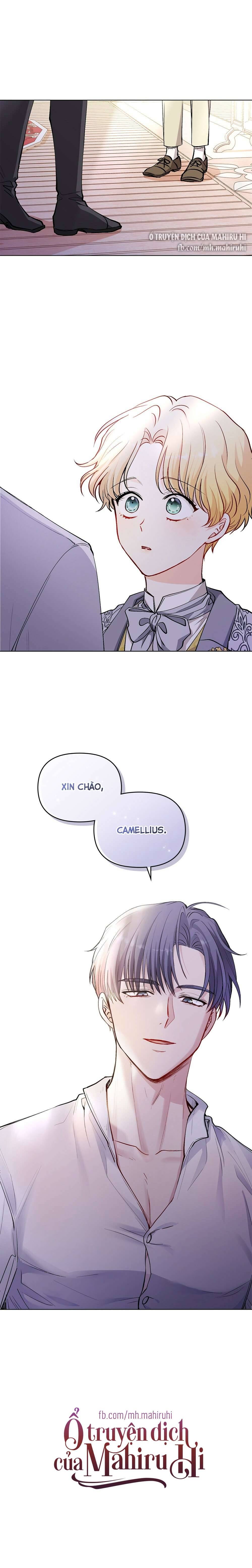 Tìm Lại Camellia Chapter 11 - Trang 4