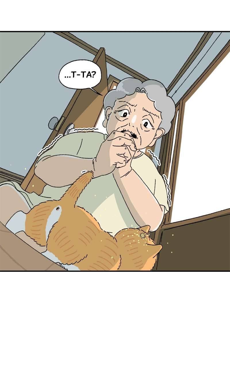 Chú Mèo Tata Chapter 3 - Trang 3