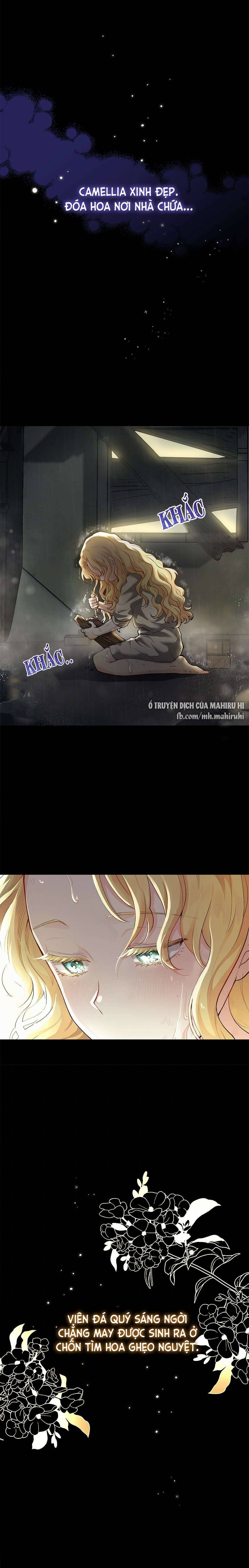 Tìm Lại Camellia Chapter 1 - Trang 4