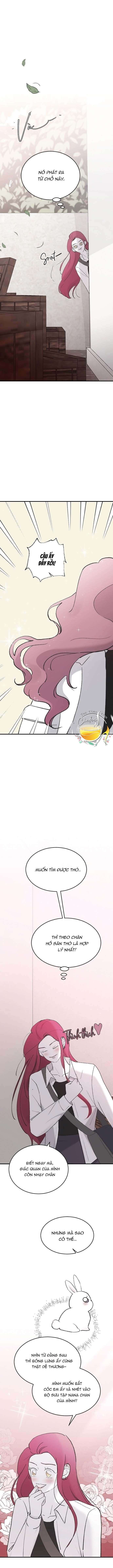 Ba Anh Trai Cực Phẩm Của Tôi Chap 45 - Trang 3