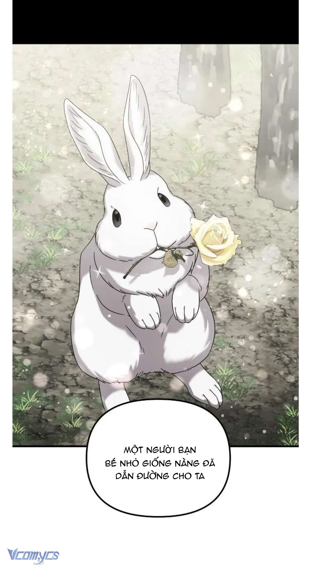 Hôn Nhân Liên Minh Để Trả Thù Chap 39 - Next Chap 40