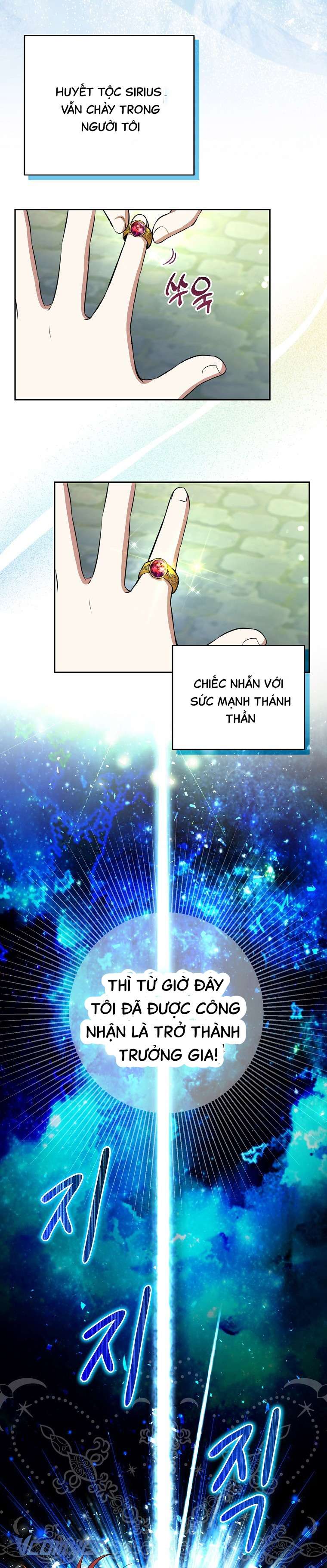 Sóc Con Tài Năng Chap 40 - Next Chap 41