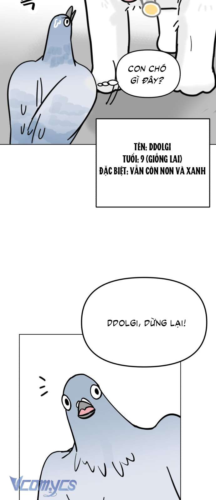 Bồ Câu Lee Heon-Seo Của Quận Seongbuk Chap 1 - Trang 2