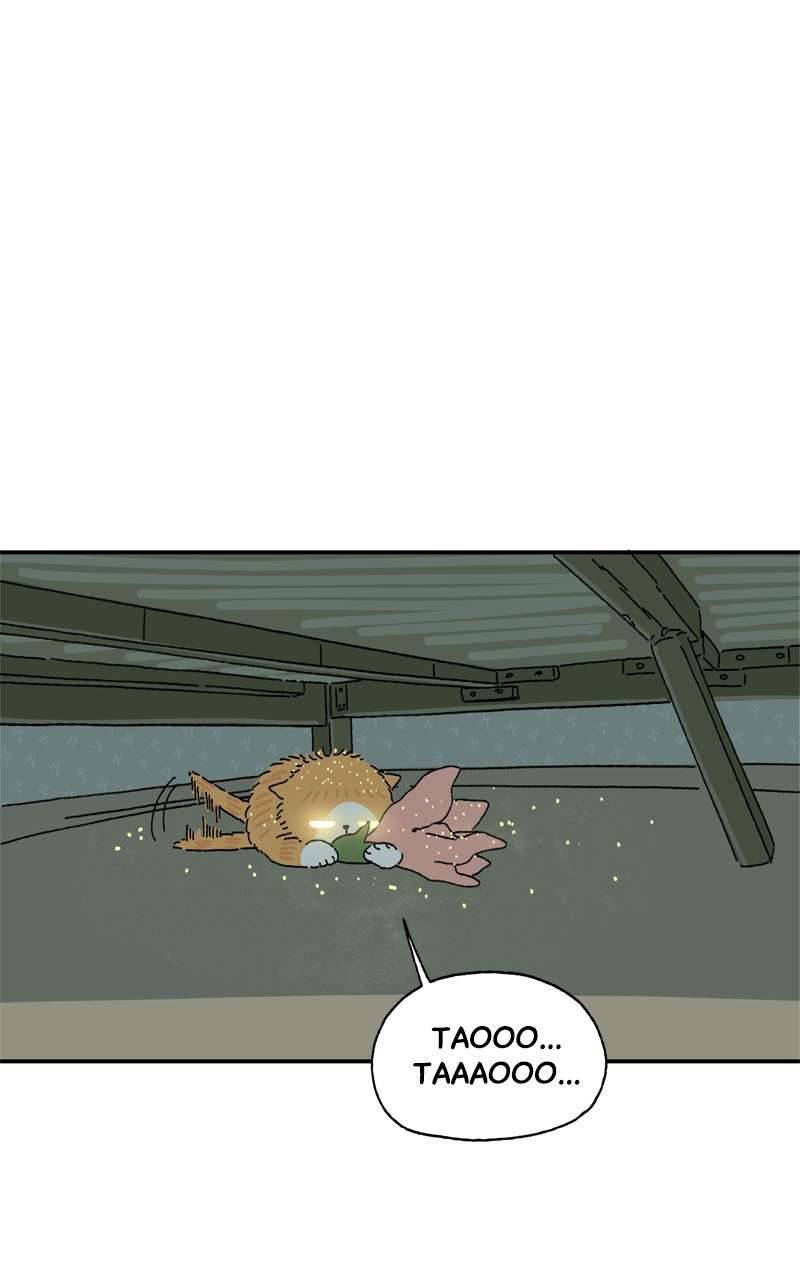 Chú Mèo Tata Chapter 3 - Trang 3