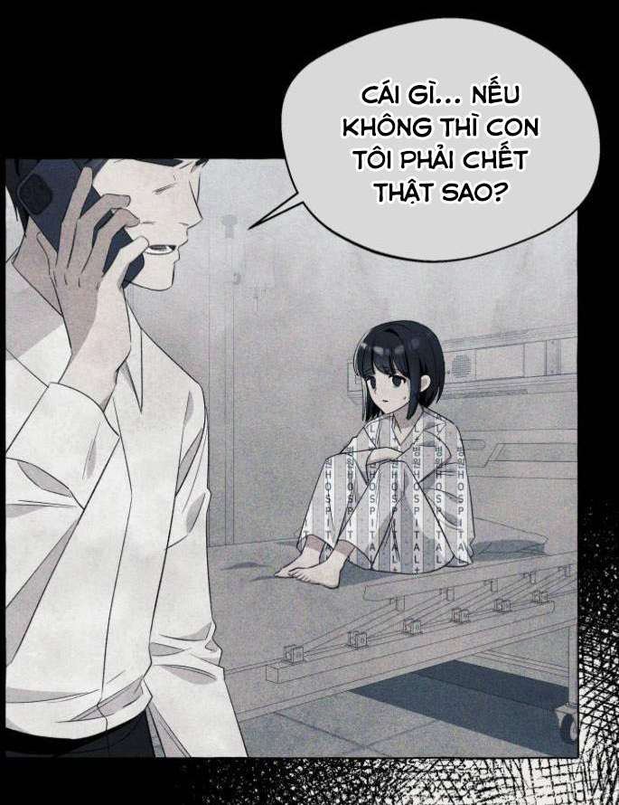 Tôi Tưởng Đó Chỉ Là Tiểu Thuyết Trọng Sinh Bình Thường Chapter 15 - Trang 4