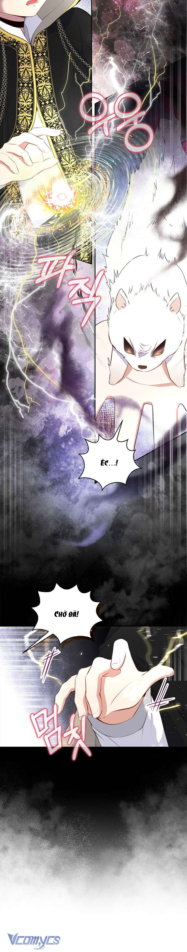 Sóc Con Tài Năng Chap 14 - Next Chap 15