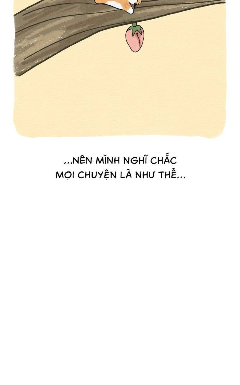 Chú Mèo Tata Chapter 3 - Trang 3