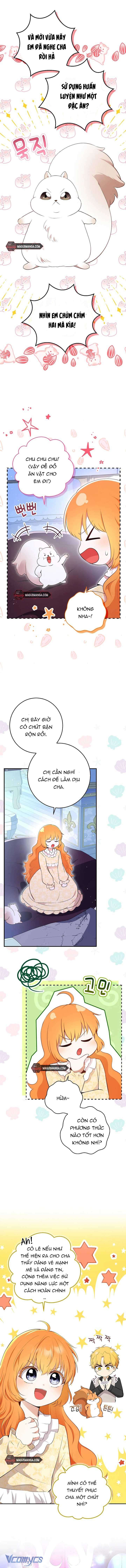 Sóc Con Tài Năng Chap 73 - Next Chap 74
