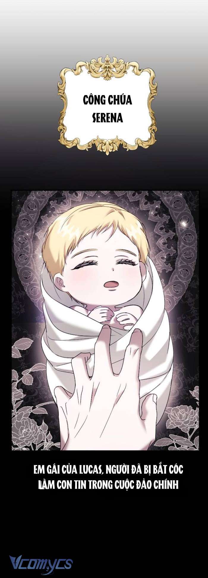 Hôn Nhân Liên Minh Để Trả Thù Chap 3 - Next Chap 4