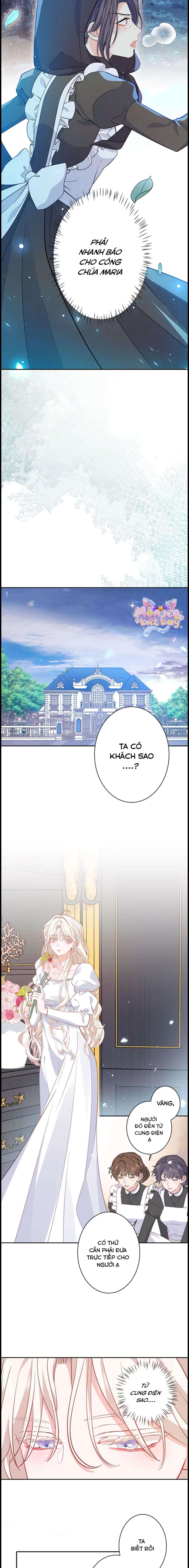 Lần này, tôi sẽ tránh cuộc hôn nhân với anh - Cách để rời xa anh, một người không có tình yêu Chap 6 - Trang 2