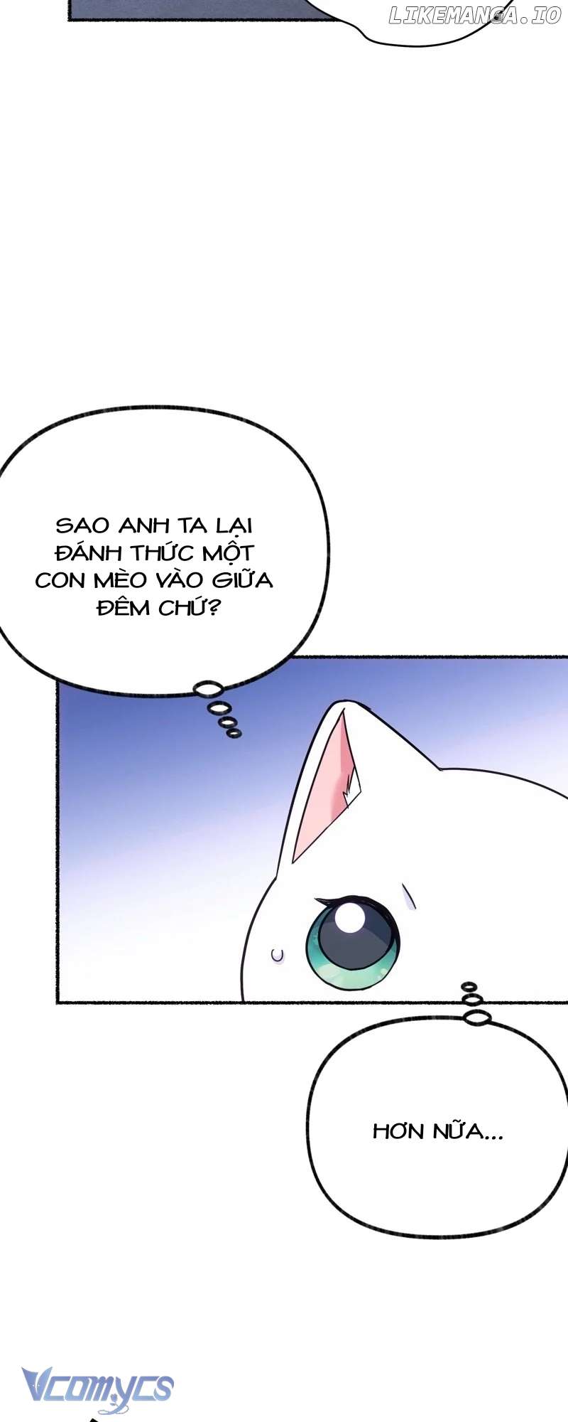 Trở Thành Chú Mèo Ngủ Cùng Bạo Chúa Chapter 4 - Trang 3