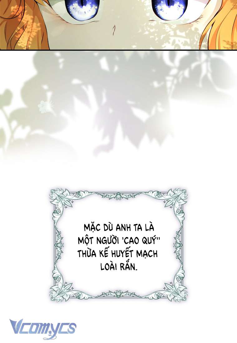 Sóc Con Tài Năng Chap 1 - Trang 2