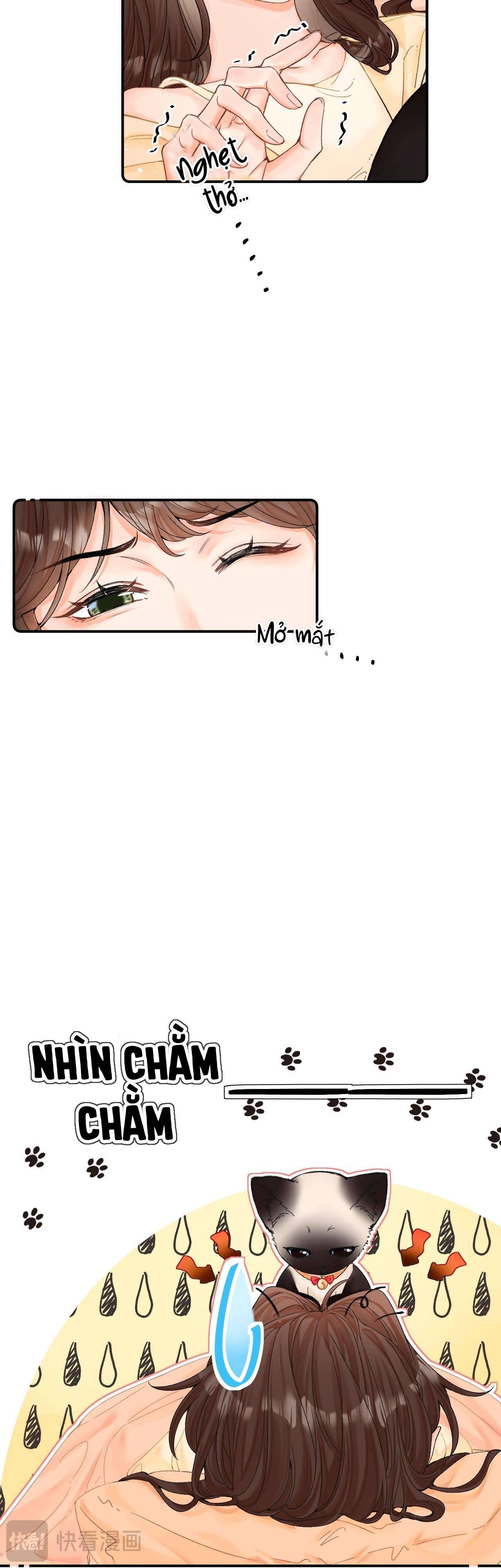 Xin người hãy chăm sóc cho em Chap 8 - Next Chap 9