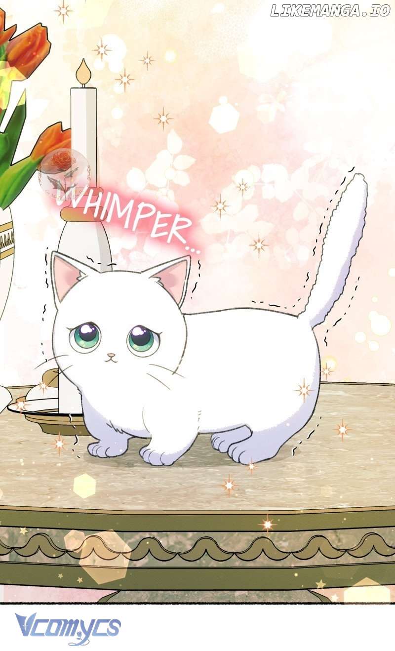 Trở Thành Chú Mèo Ngủ Cùng Bạo Chúa Chapter 1 - Trang 3