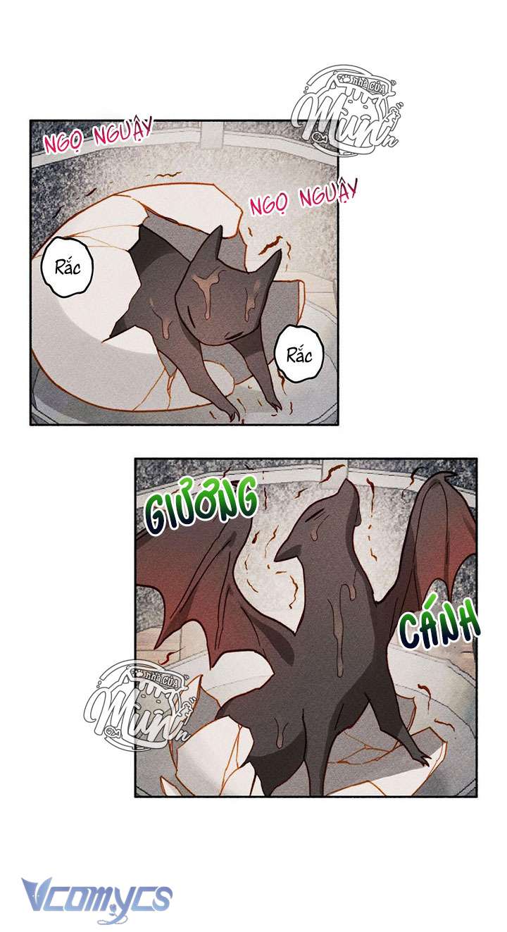 (Munn) Nuôi Dưỡng Một Hắc Long Chap 1 - Trang 2