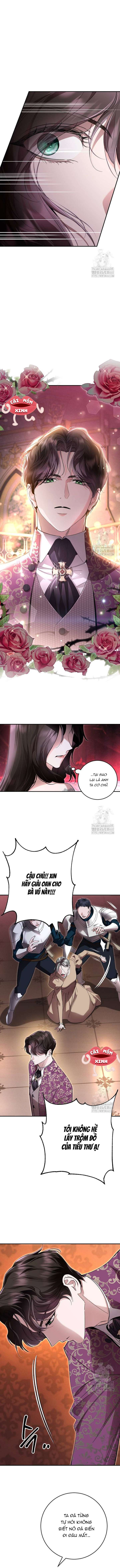 Cuộc Hôn Nhân Bị Bắt Cóc Xuyên Thời Gian Của Hoàng Hậu Chap 14 - Trang 4