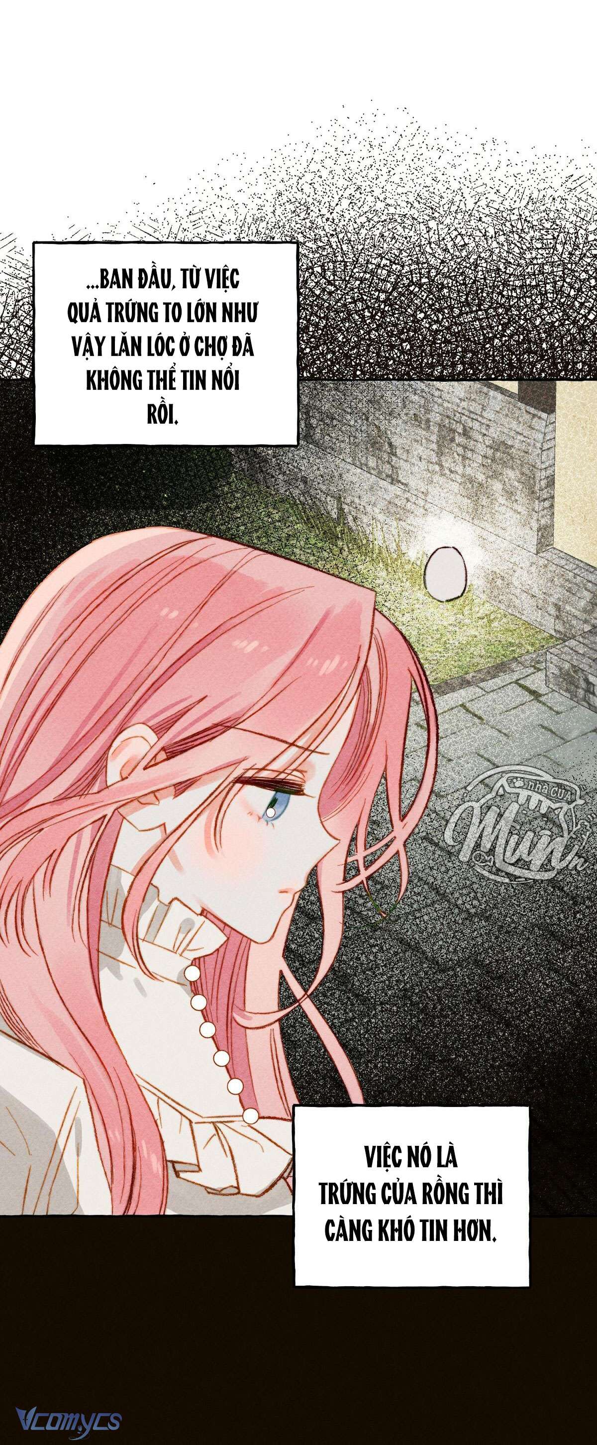 (Munn) Nuôi Dưỡng Một Hắc Long Chap 2 - Trang 2