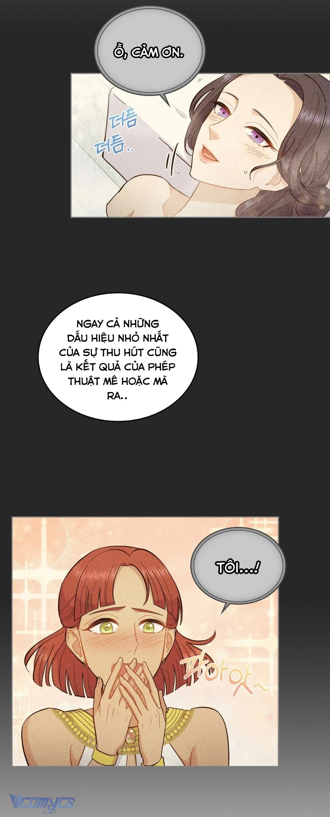 Hôn Nhân Giả Dối Chap 20 - Trang 3