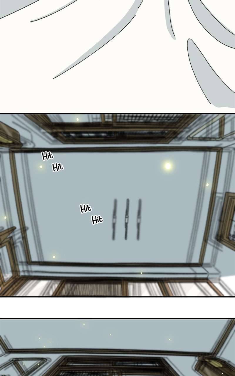 Chú Mèo Tata Chapter 3 - Trang 3