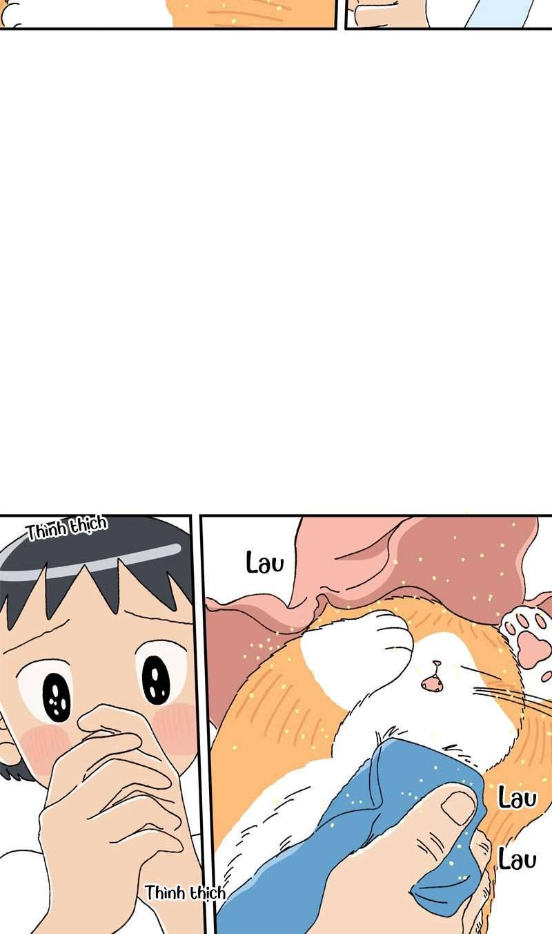 Chú Mèo Tata Chapter 2 - Trang 3