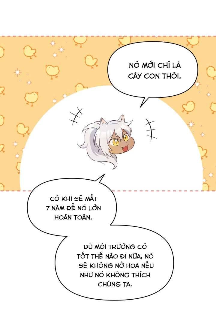 Người Bảo Hộ Của Bạo Quân Là Ma Nữ Tàn Độc Chap 16 - Trang 4