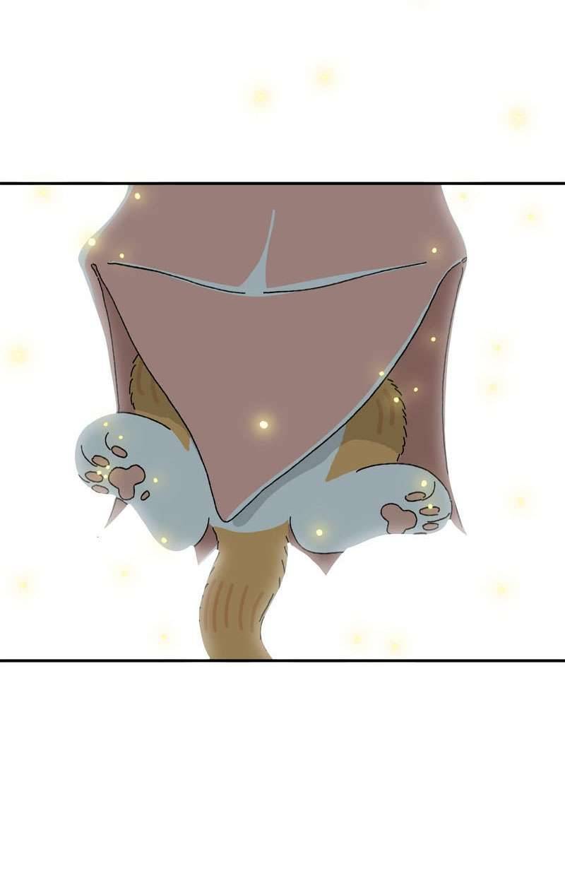 Chú Mèo Tata Chapter 1 - Next Chapter 2