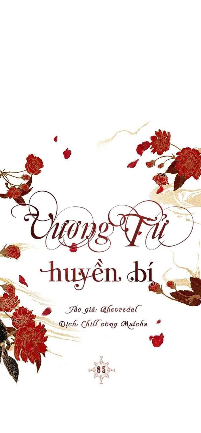 Vương Tử Huyền Bí Chapter 85 - Next Chapter 86