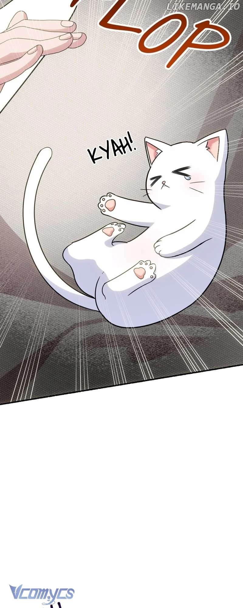 Trở Thành Chú Mèo Ngủ Cùng Bạo Chúa Chapter 2 - Trang 3