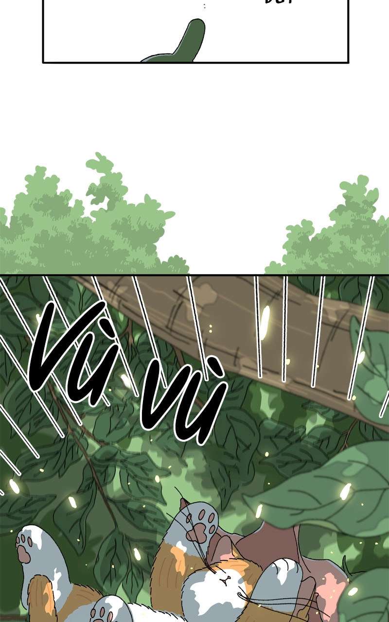 Chú Mèo Tata Chapter 2 - Trang 3