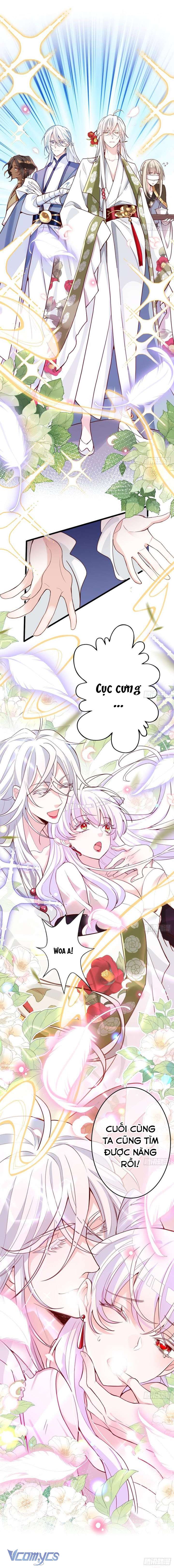 Ba Ngàn Sủng Của Hải Vương Nãi Nãi Chap 1 - Trang 2