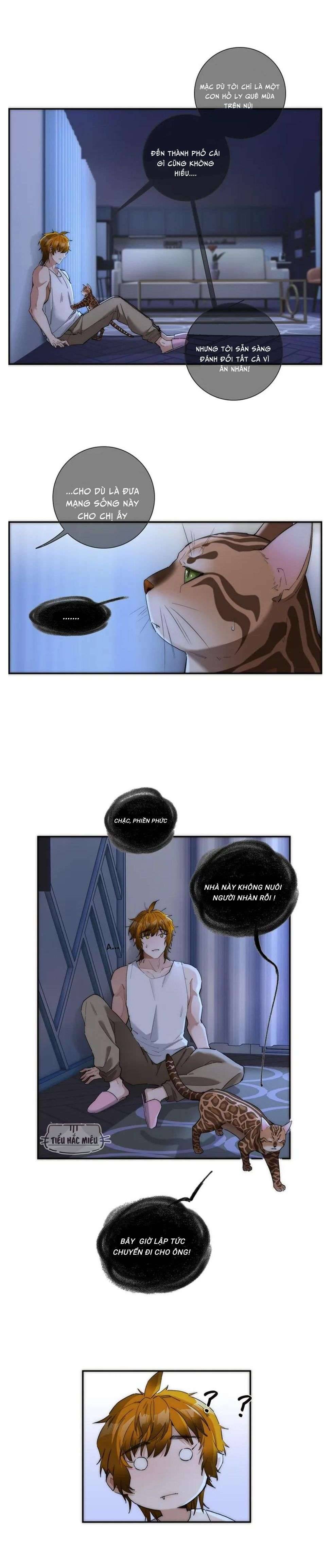 Ân Nhân Của Tôi Không Phải Học Giả Chapter 7 - Trang 3