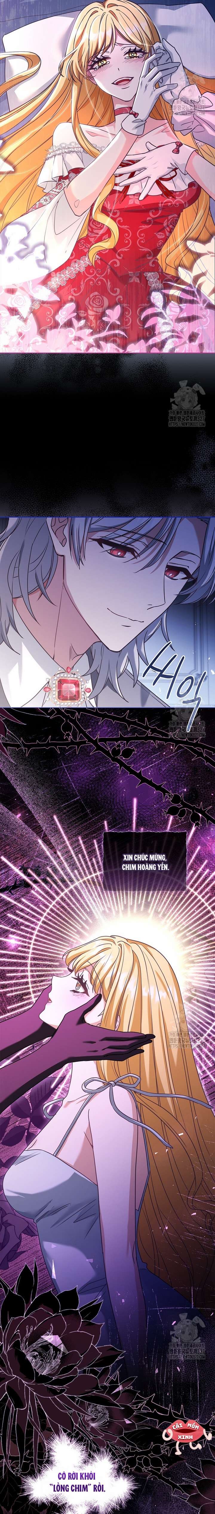 Tôi Phải Mau Chóng Kết Hôn Vì Thời Gian Có Hạn Chapter 29 - Trang 4