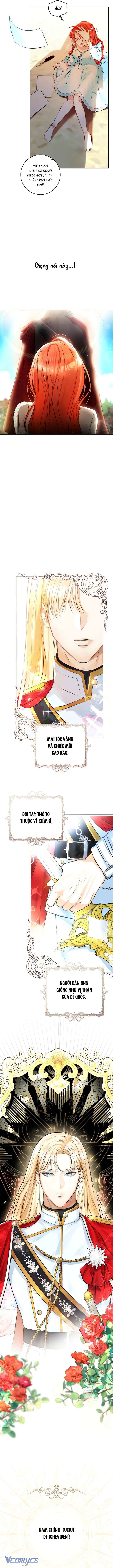 Cuộc Hôn Nhân Xa Hoa Của Đại Công Tước Là Giả Chapter 1 - Trang 4