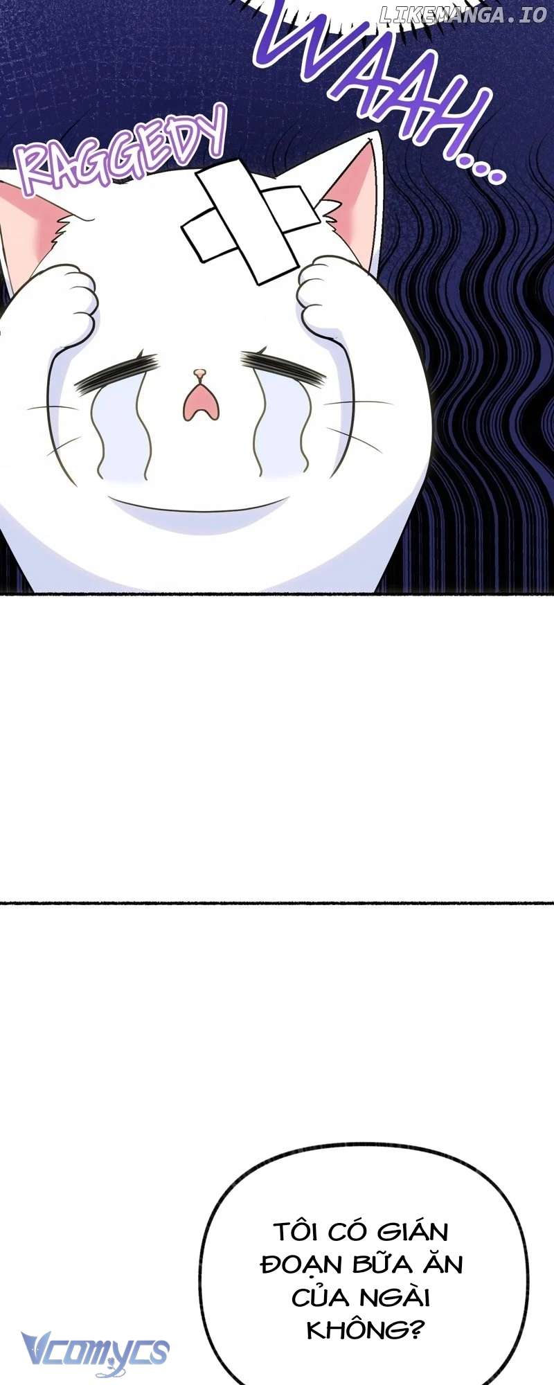 Trở Thành Chú Mèo Ngủ Cùng Bạo Chúa Chapter 2 - Trang 3