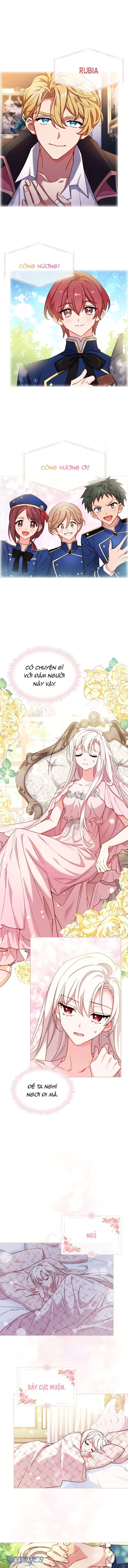 Chợ Review Nhà Họ Hoàng Chap Ngơi - Trang 2