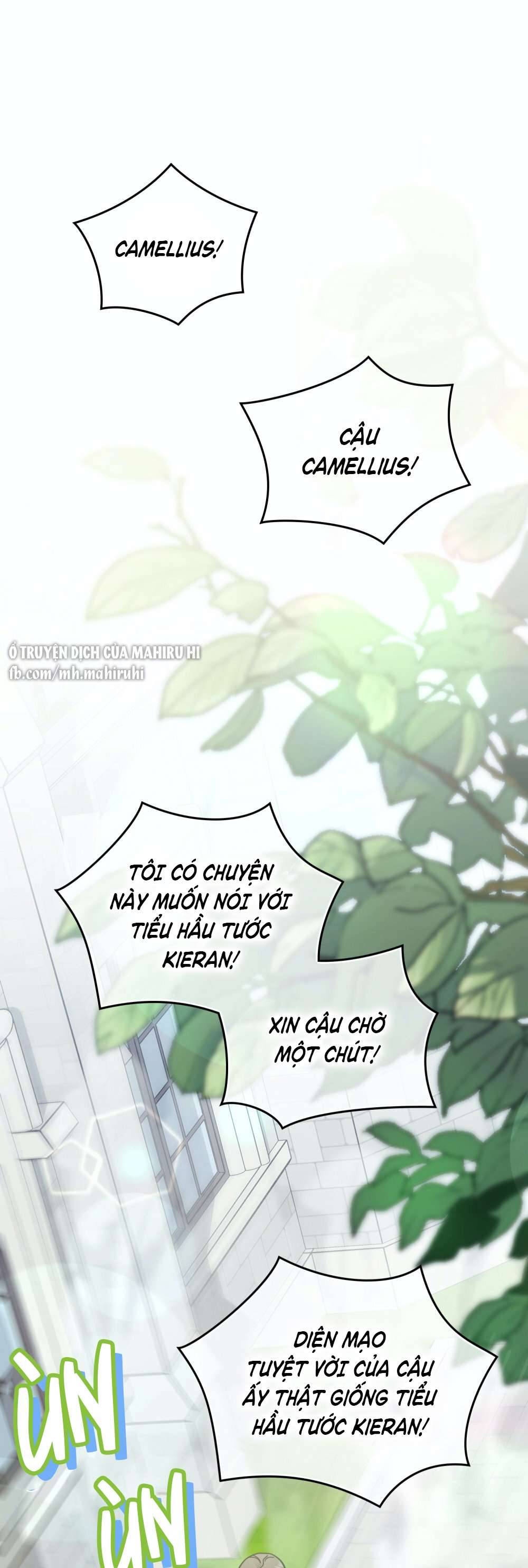Tìm Lại Camellia Chapter 52 - Trang 4