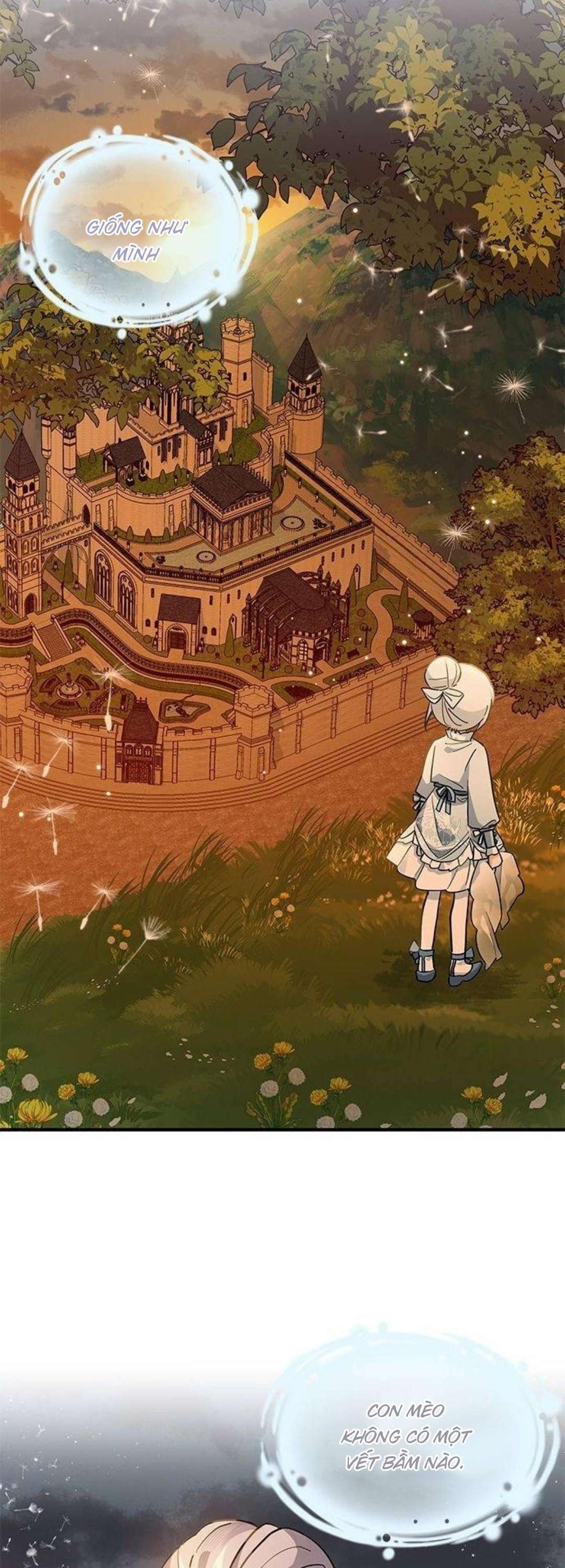 Mèo con được gia tộc sói nhận nuôi? Chapter 27 - Trang 3