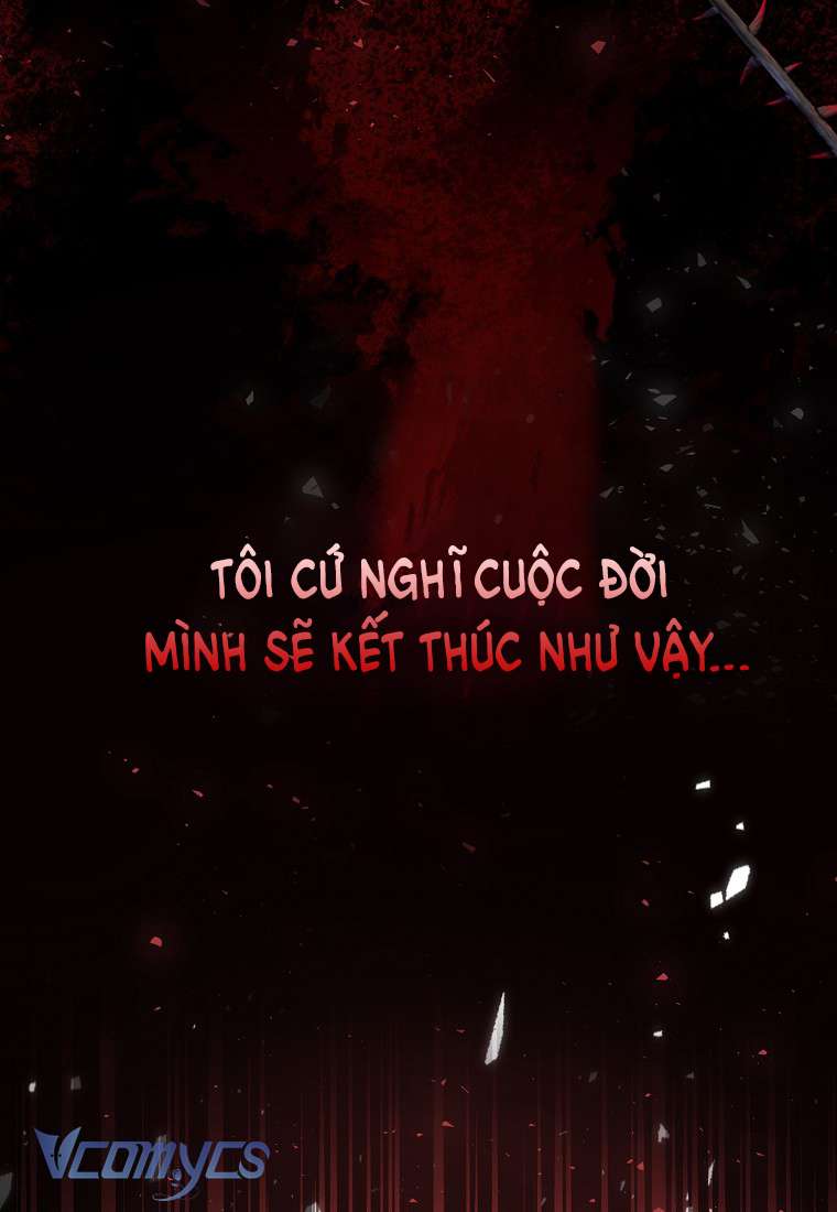 Sóc Con Tài Năng Chap 1 - Trang 2