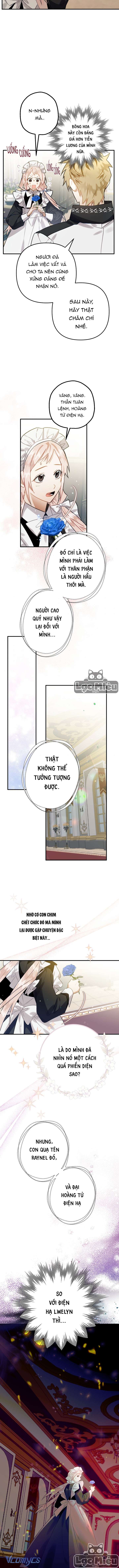 Bỗng Nhiên Tôi Trở Thành Quạ Đen!! Chapter 15 - Trang 4