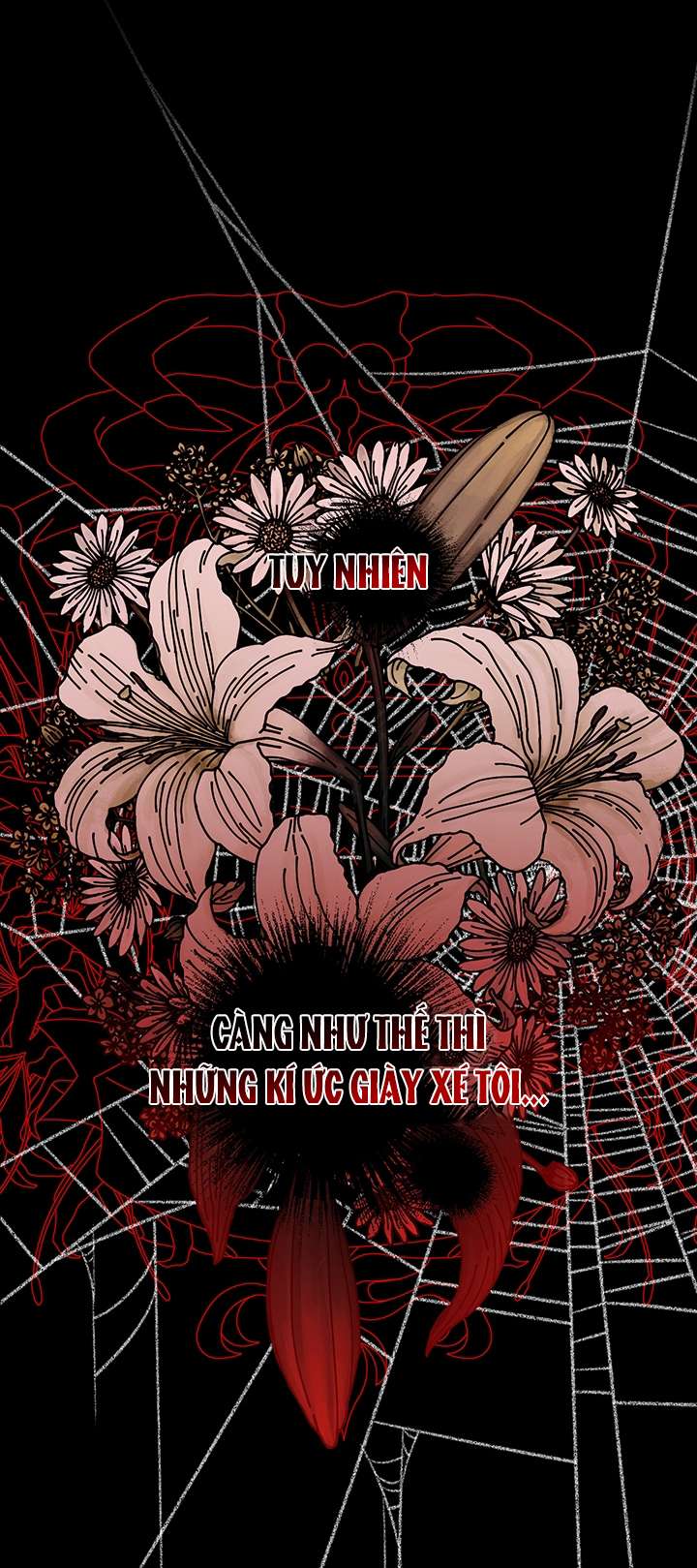 Lại Một Lần Nữa Hướng Về Ánh Sáng Chap 3 - Trang 2