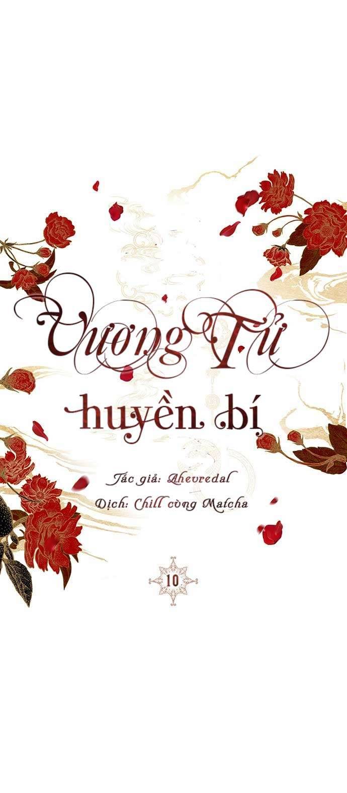 Vương Tử Huyền Bí Chapter 10 - Next Chapter 11