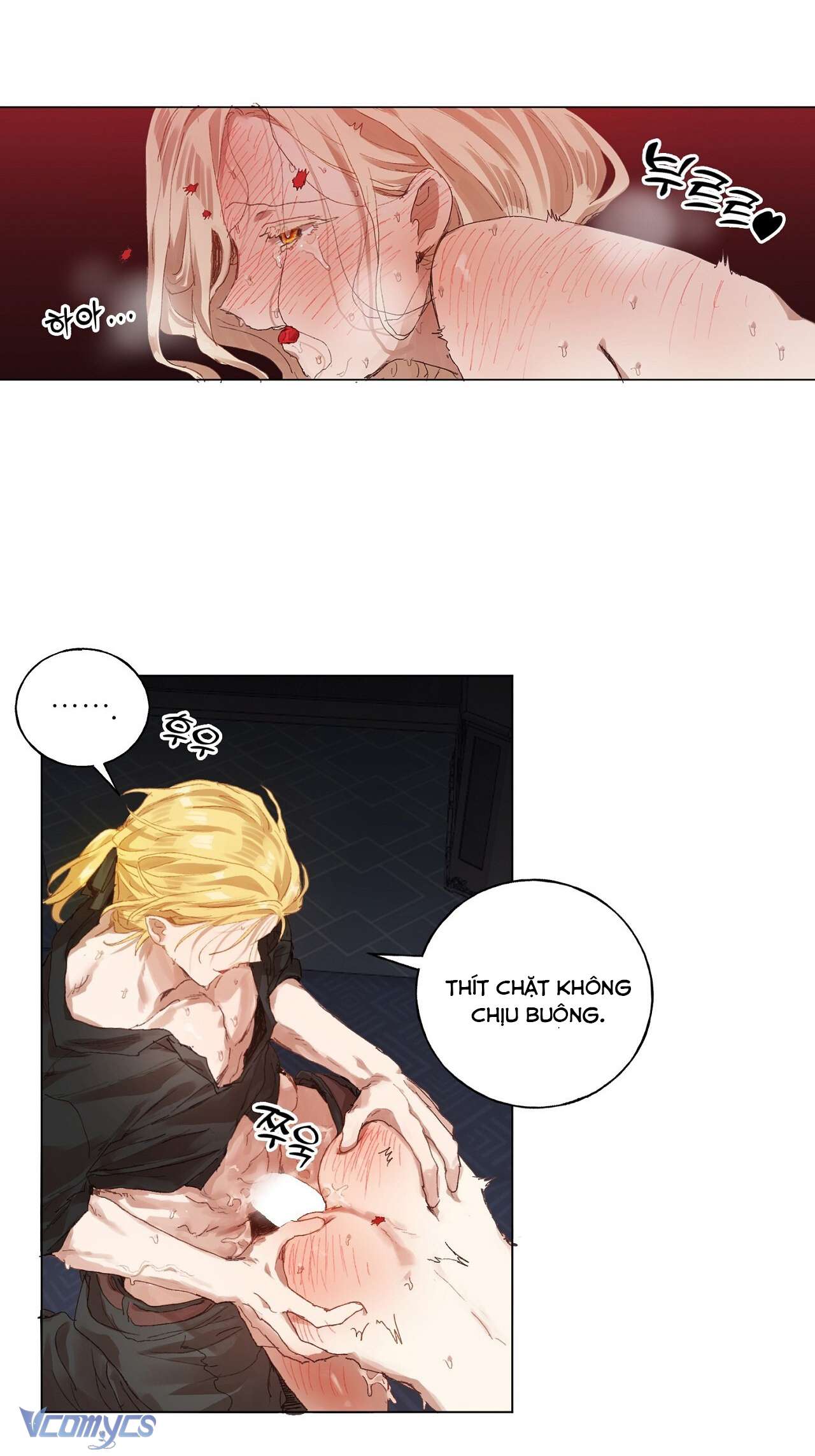 Cách một thánh nữ sa ngã sống cùng quỷ dữ Chap 17 - Trang 2