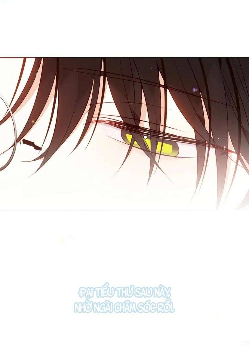 Quán Kịch Bản Trần Mộng Chapter 71 - Trang 4