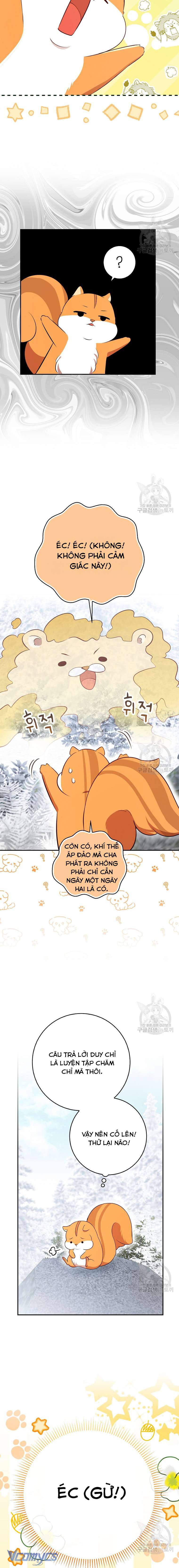 Sóc Con Tài Năng Chap 61 - Next Chap 62