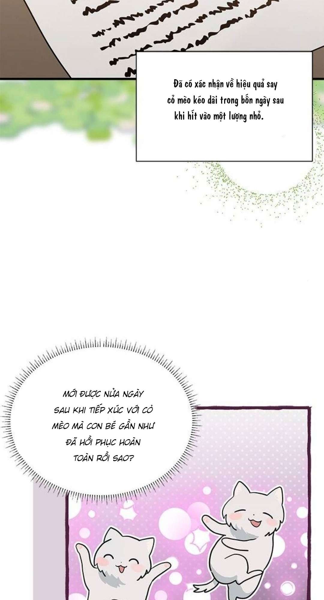 Mèo con được gia tộc sói nhận nuôi? Chapter 25 - Trang 3