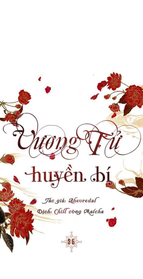 Vương Tử Huyền Bí Chapter 36 - Next Chapter 37