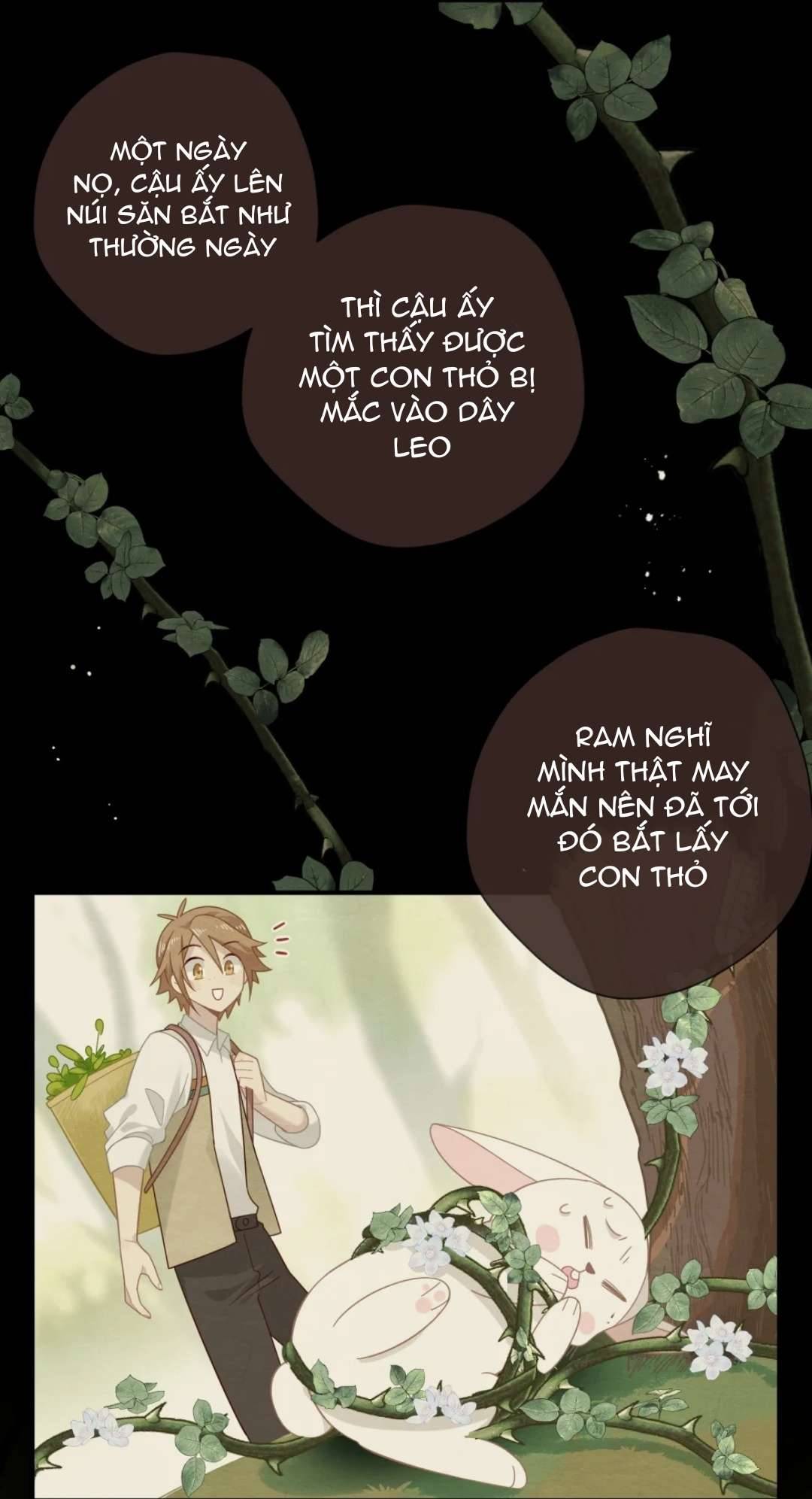 Xuyên thành phù thủy nuôi dưỡng kỵ sĩ thánh điện Chapter 12 - Trang 4