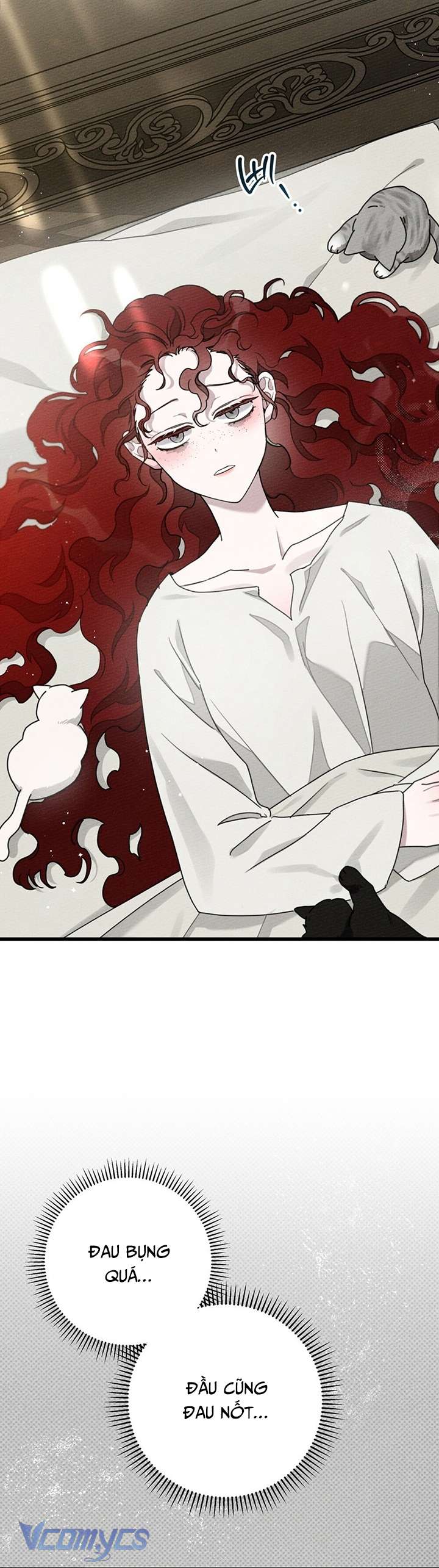 Dưới Bóng Cây Sồi Chap 49 - Trang 3